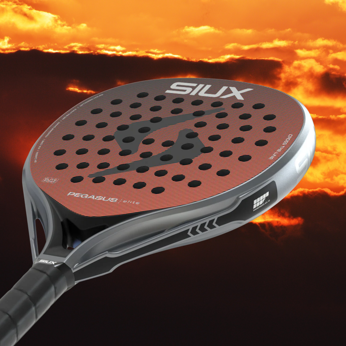 Pourquoi j’ai choisi la Siux Pegasus Elite 4 2026